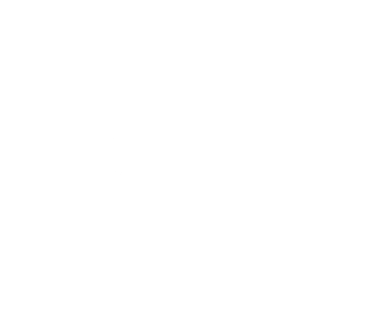 ZVision Studio